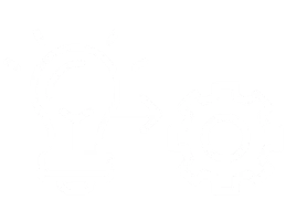 Knowledge translation and implementation