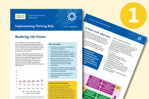 Realising the Vision